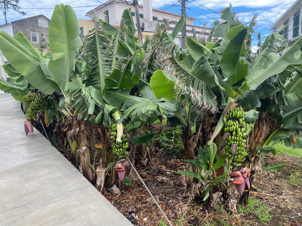 Retiro Bananeiras